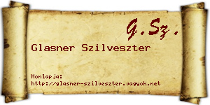 Glasner Szilveszter névjegykártya